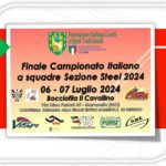 CAMPIONATO ITALIANO A SQUADRE 2024 STEEL DART